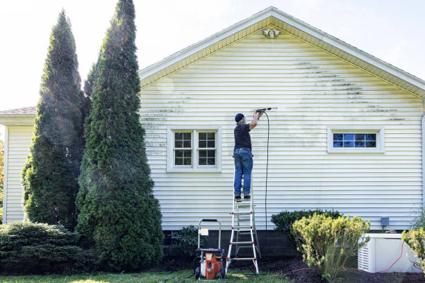Best Historic Building Restoration  in Athens, WV